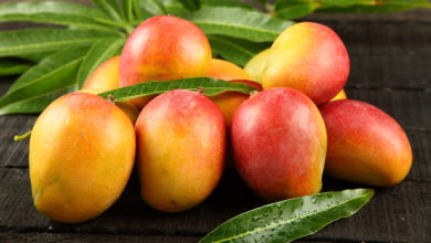 Photo of Mango nachreifen: So gelingt es in wenigen Schritten