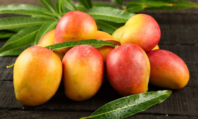 Mango nachreifen