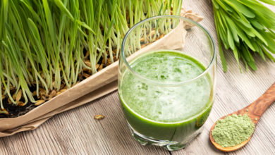 Photo of Gerstengraspulver: Das Superfood in der kalten Küche