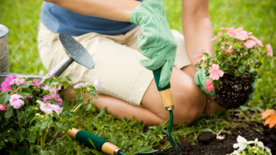 Photo of Gartengestaltung Ideen: 5 Trends im Überblick