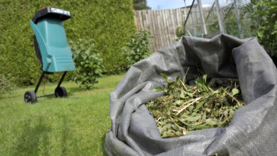 Photo of Gartenhäcksler: Der nachhaltige Umgang mit Gartenabfällen
